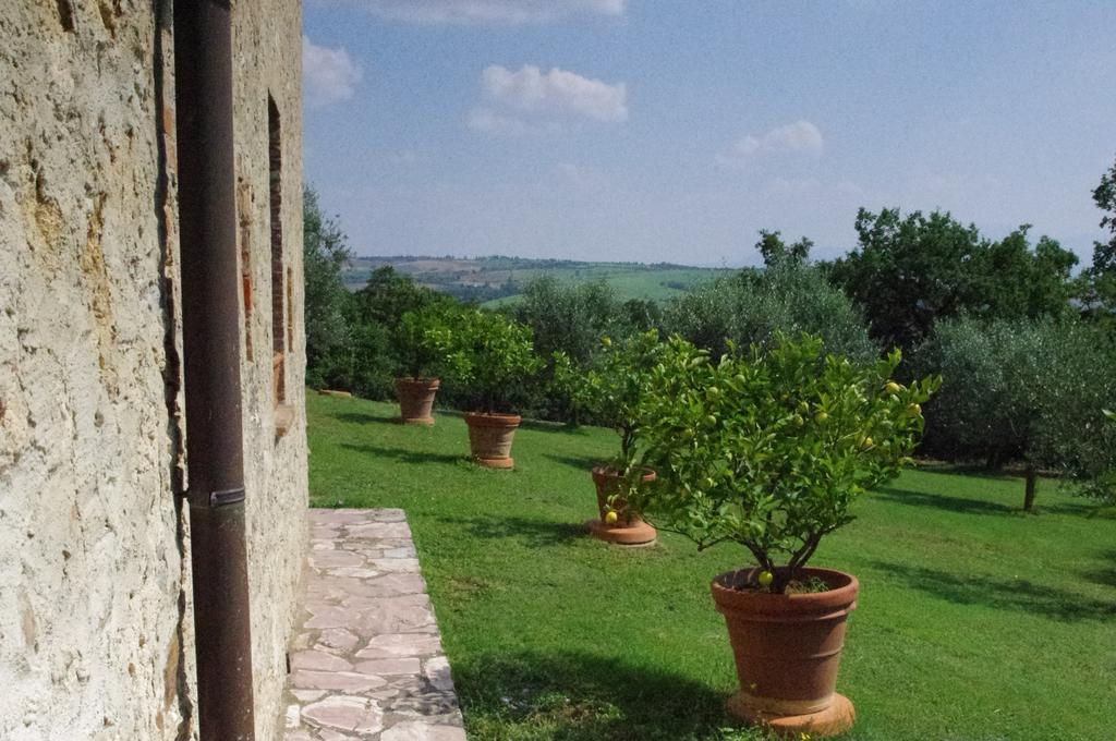Agriturismo Cerreto Пиенца Экстерьер фото