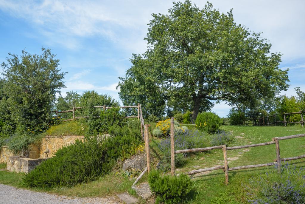 Agriturismo Cerreto Пиенца Экстерьер фото